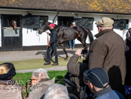 NH051025-21 - Ile de Jersey